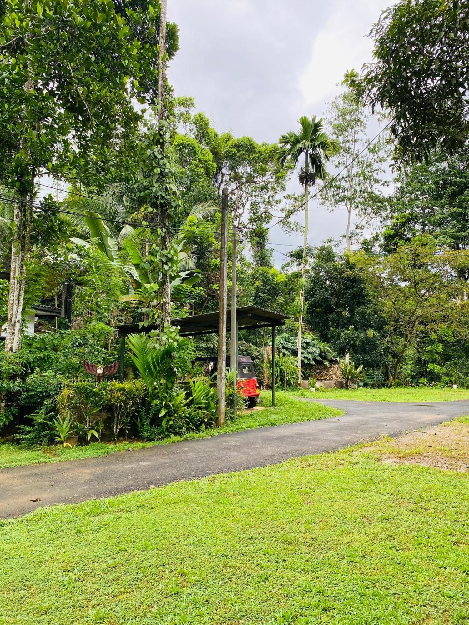 Summer Ridge - Homestay Ratnapura Esterno foto