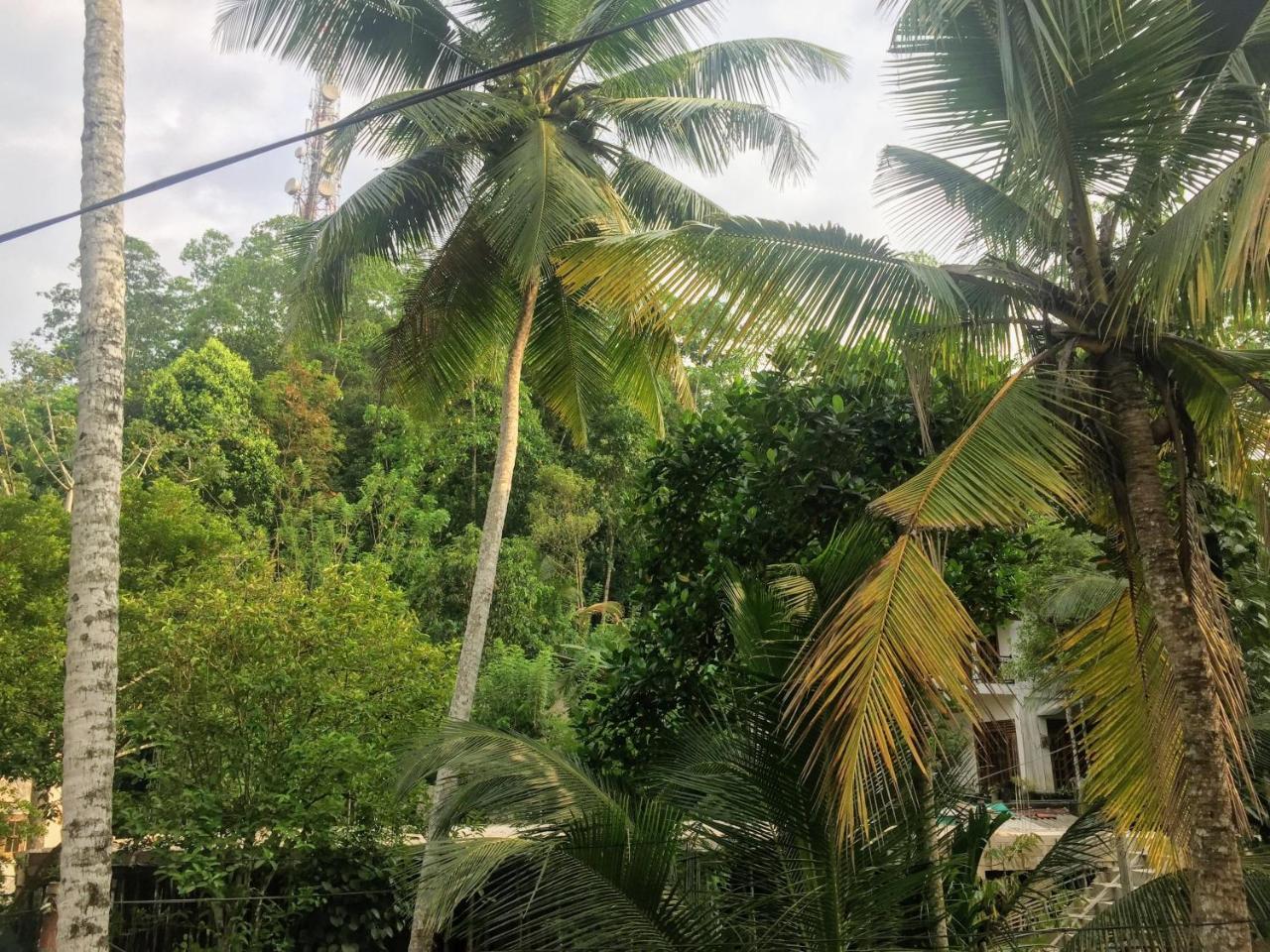 Summer Ridge - Homestay Ratnapura Esterno foto